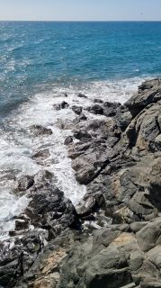 2024-01-Paseo_Costa_Canaria-San_Agustin-Ingles-063.jpg